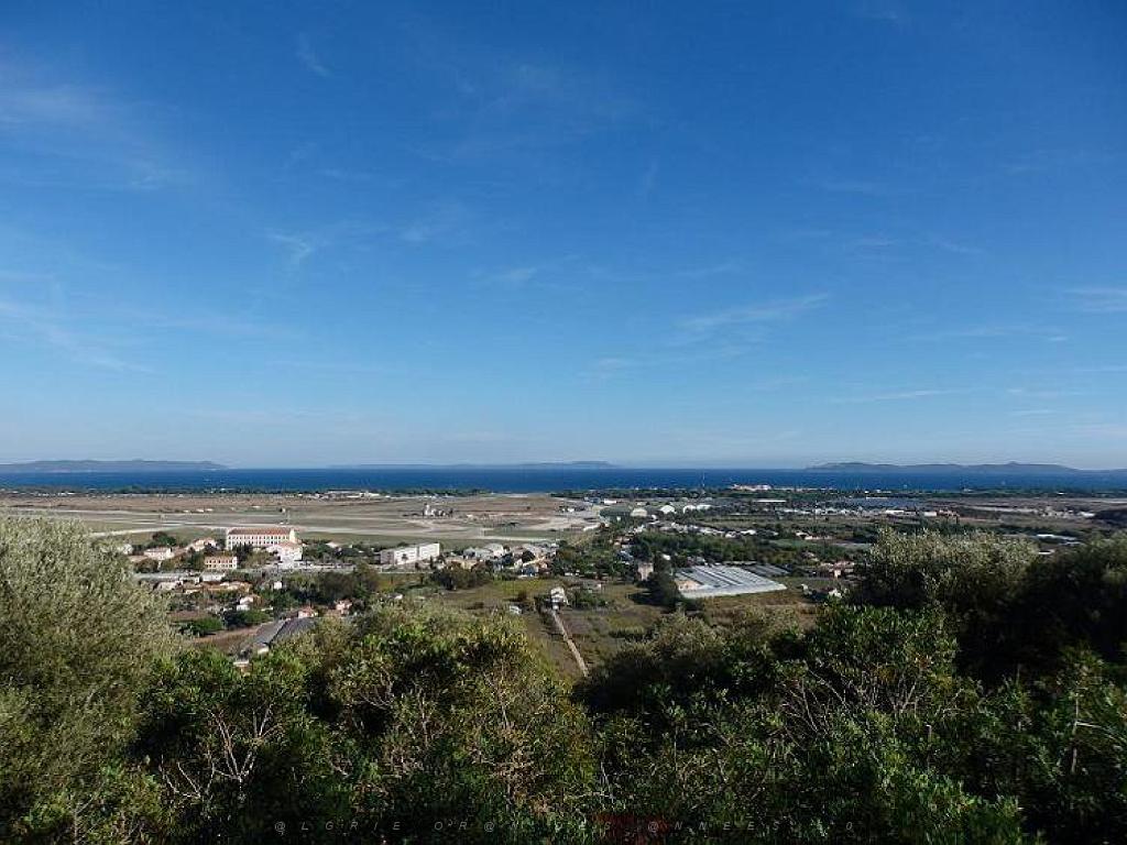 183 HYERES ET SES PALMIERS D15_000023.jpg